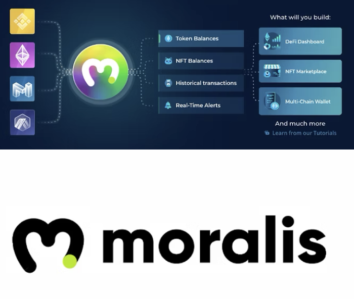 開發者教育引導——Moralis
